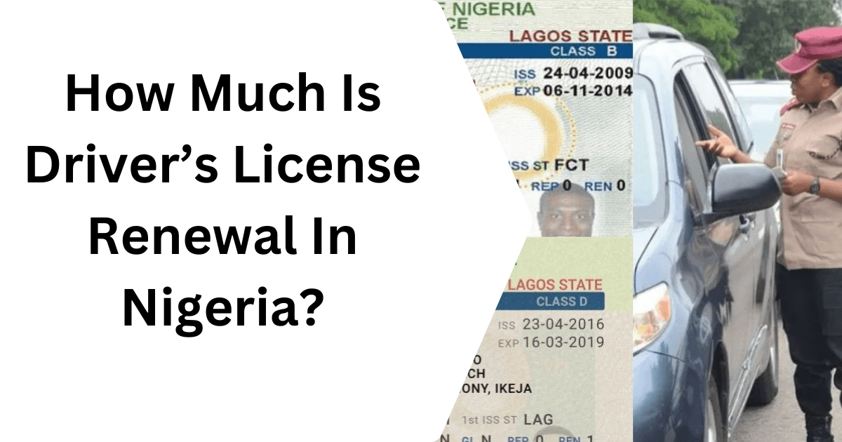 How Much Is Driver’s License Renewal In Nigeria?